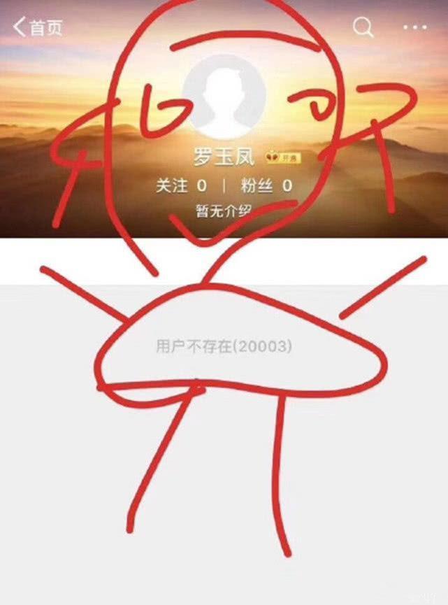网红大变天!罗玉凤微博被“清空”,网友:我错过了什么惊天大瓜