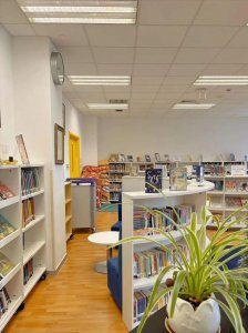 ​给中小学生推荐5本英文书