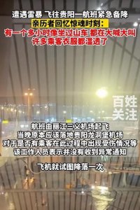 ​飞往贵阳一航班紧急备降！亲历者回忆惊魂时刻：像坐过山车，大家都在喊叫