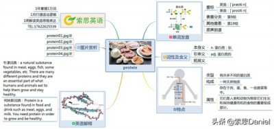 ​索思英语解码单词（第477个）——protein蛋白质