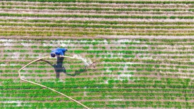 ​2023年三农补贴政策：农业现代化与农民福利的双赢