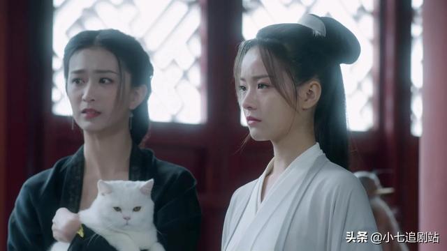 雪中悍刀行姜泥算背叛西楚吗(雪中悍刀行西楚女帝姜泥)(6)