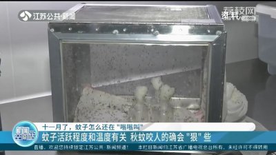 ​11月了，蚊子怎么还在“嗡嗡叫”？专家：秋蚊咬人的确“狠”些