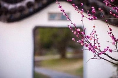 ​汉语中最难念的21个字，你认识几个？