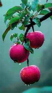 ​古今一些事物的敬称或谦称