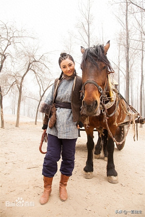精彩纷呈——《执着的追踪》