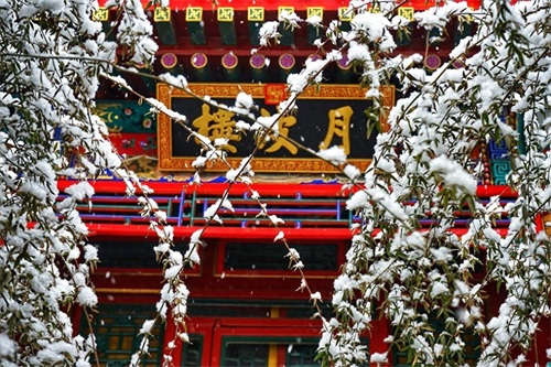 精彩纷呈——《执着的追踪》