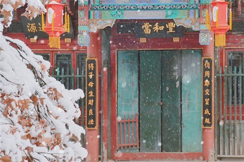 精彩纷呈——《执着的追踪》