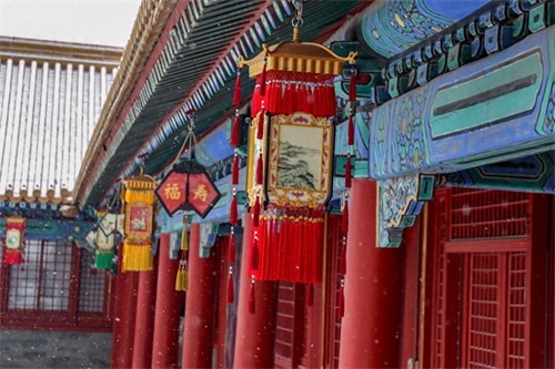 精彩纷呈——《执着的追踪》