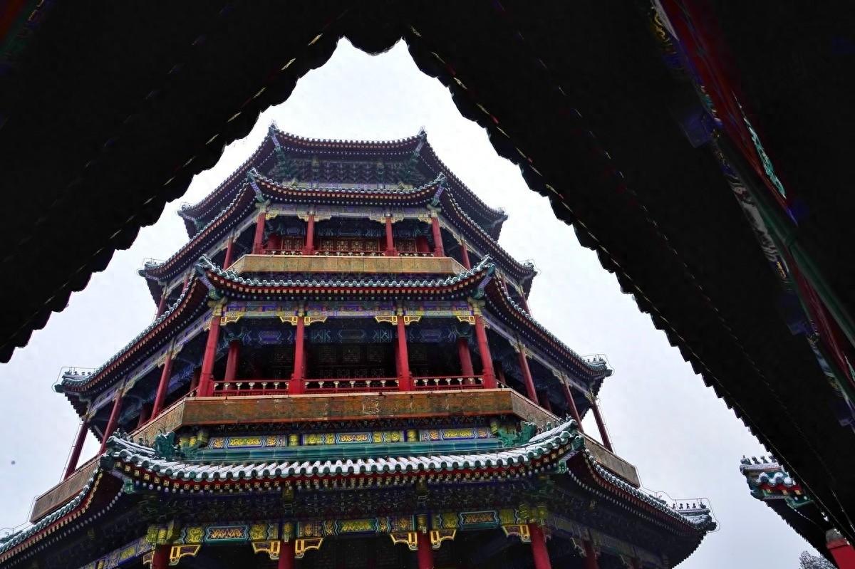 精彩纷呈——《执着的追踪》