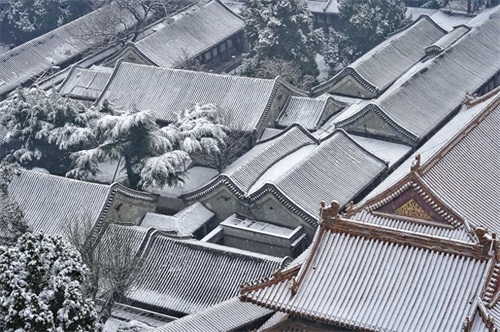 精彩纷呈——《执着的追踪》