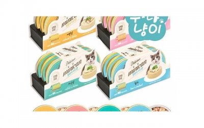 ​6种漂亮的垂吊植物，清新好看，轻松养成绿窗帘