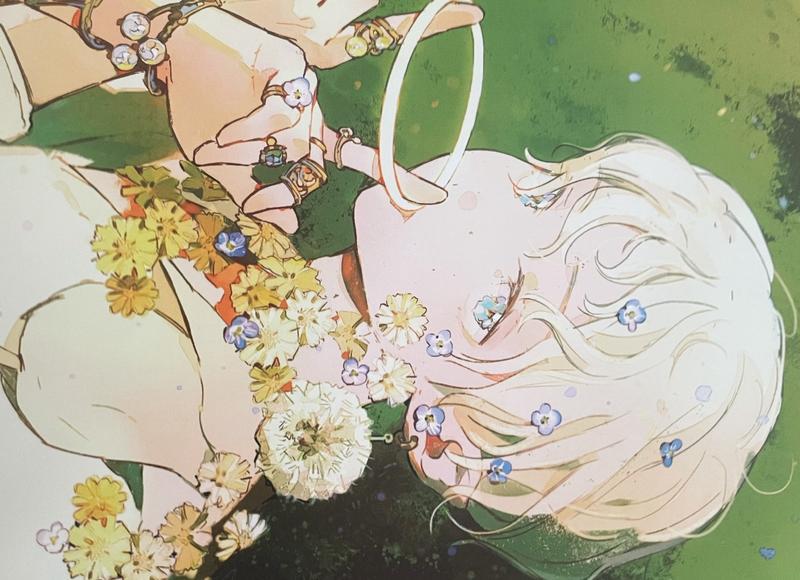 被称为开花机器的几种植物，四季开花不断，堪称开花劳模