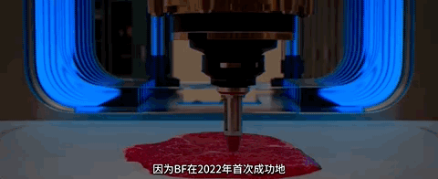 两大颜值天花板,上演年度「肉欲」大剧