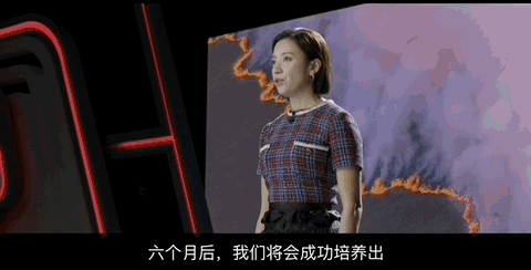 两大颜值天花板,上演年度「肉欲」大剧