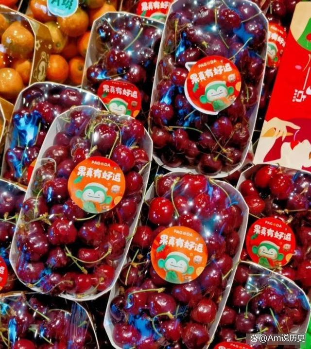 2024年315曝光名单 315曝光了哪些产品曝光卫生巾有哪些品牌?