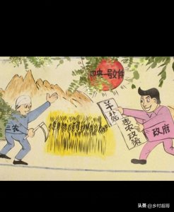 ​设置公益岗是好事，额外增加了农民的收入！为何还有不同的声音？