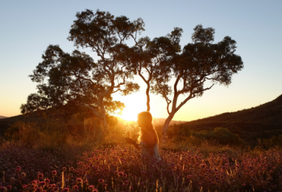 ​唯美爱情短句20字以内(热门50句)