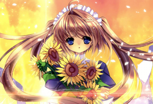 1711918727980077.png image.png