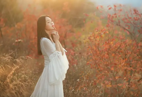 1711922219724855.png image.png